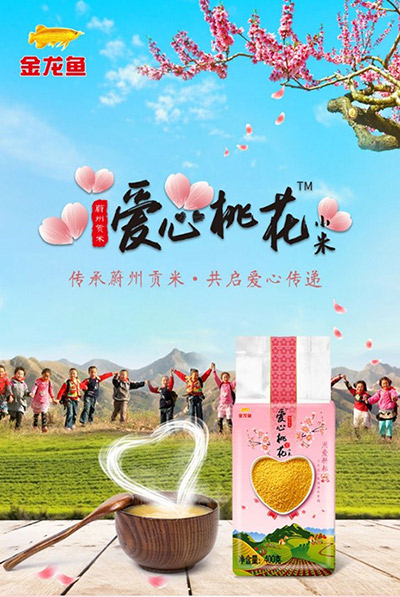 6167d53f79616.jpg 6167d53f79616.jpg