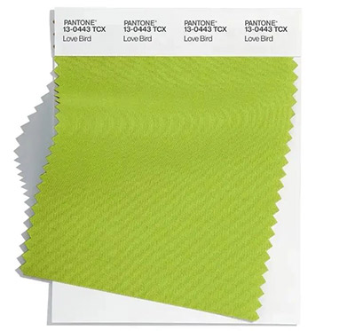 63427fb15320d.jpg 63427fb15320d.jpg